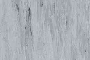 Линолеум Classic Imperial 2mm 0005 STEEL фото  | FLOORDEALER